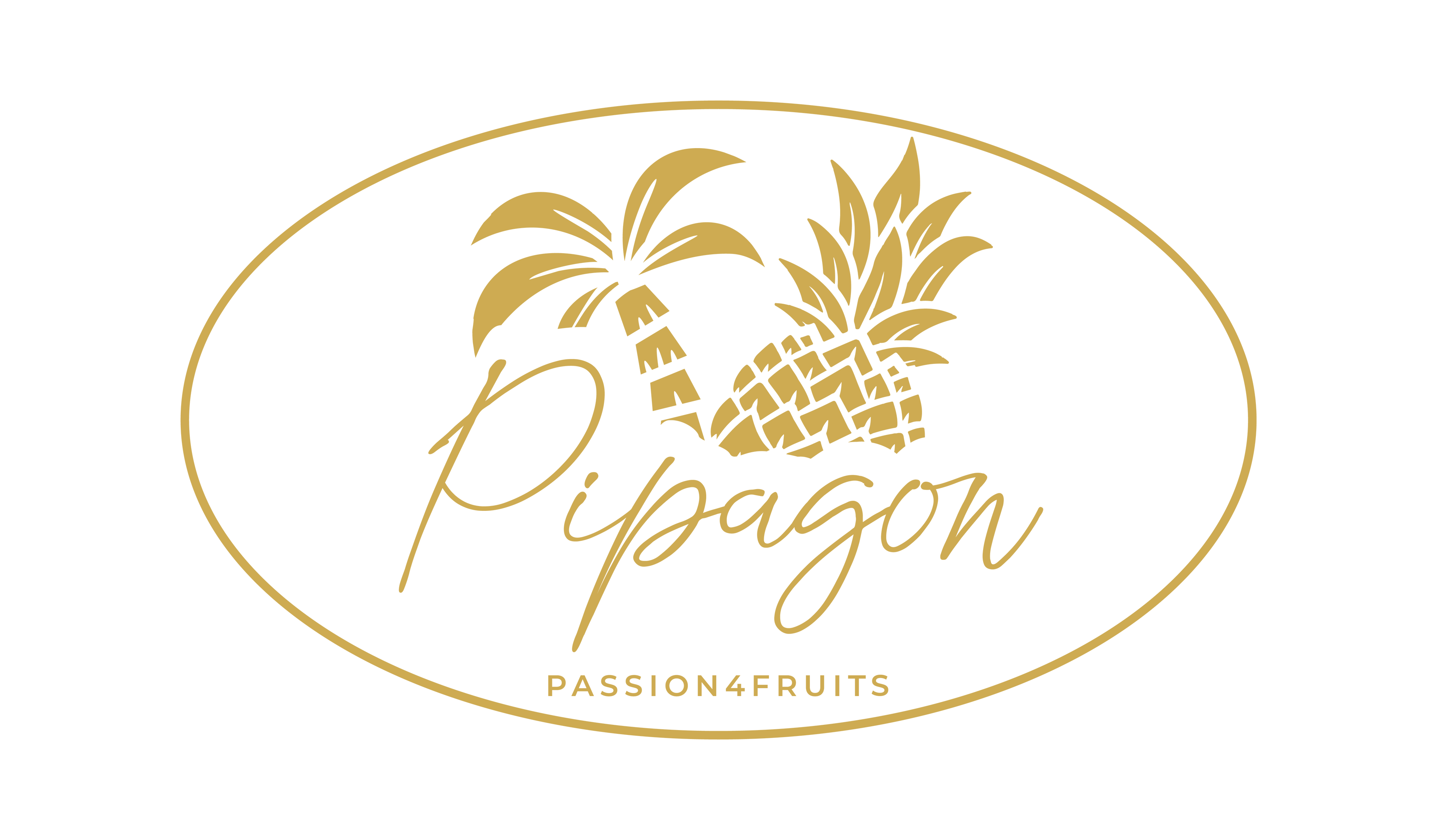 Pipagon - Passion4Fruits