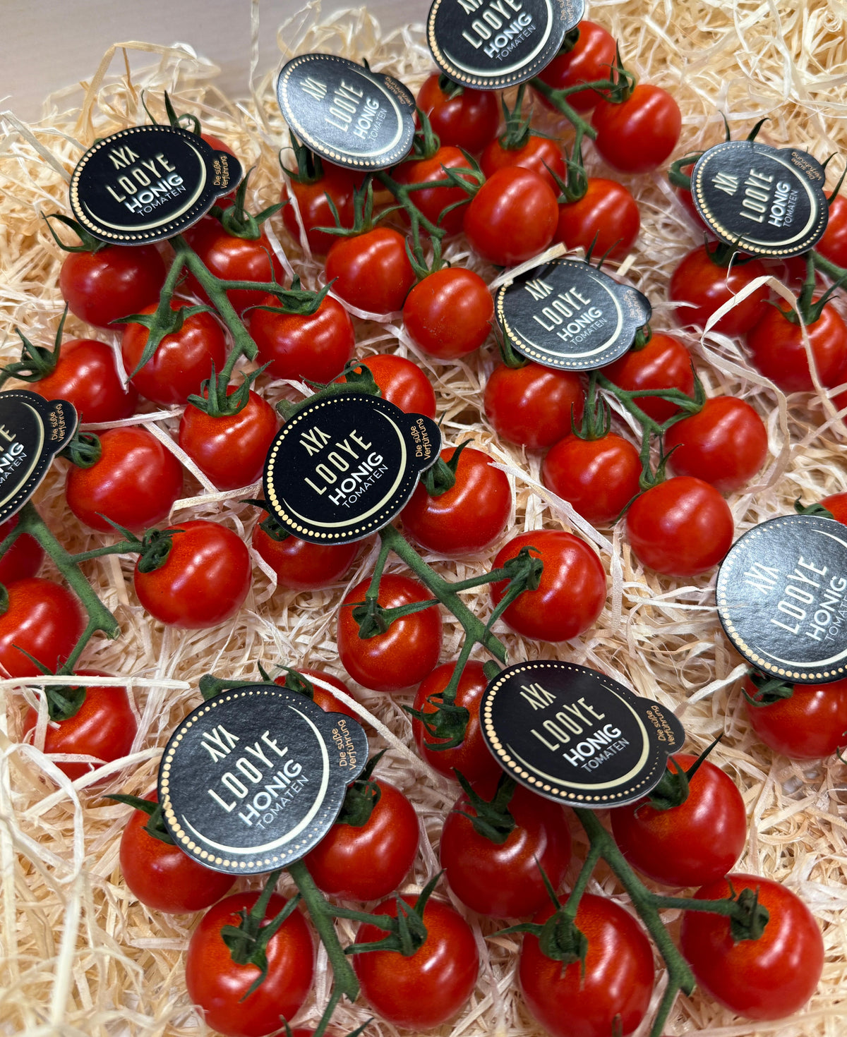 Honig Tomaten 1 Rispe