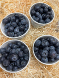 Heidelbeeren