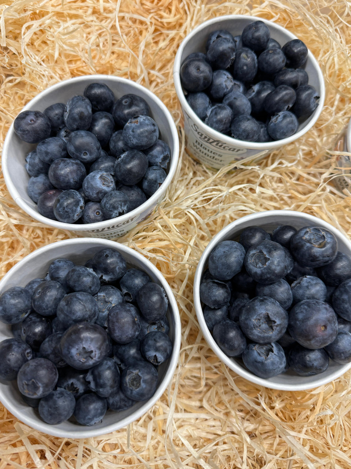 Heidelbeeren