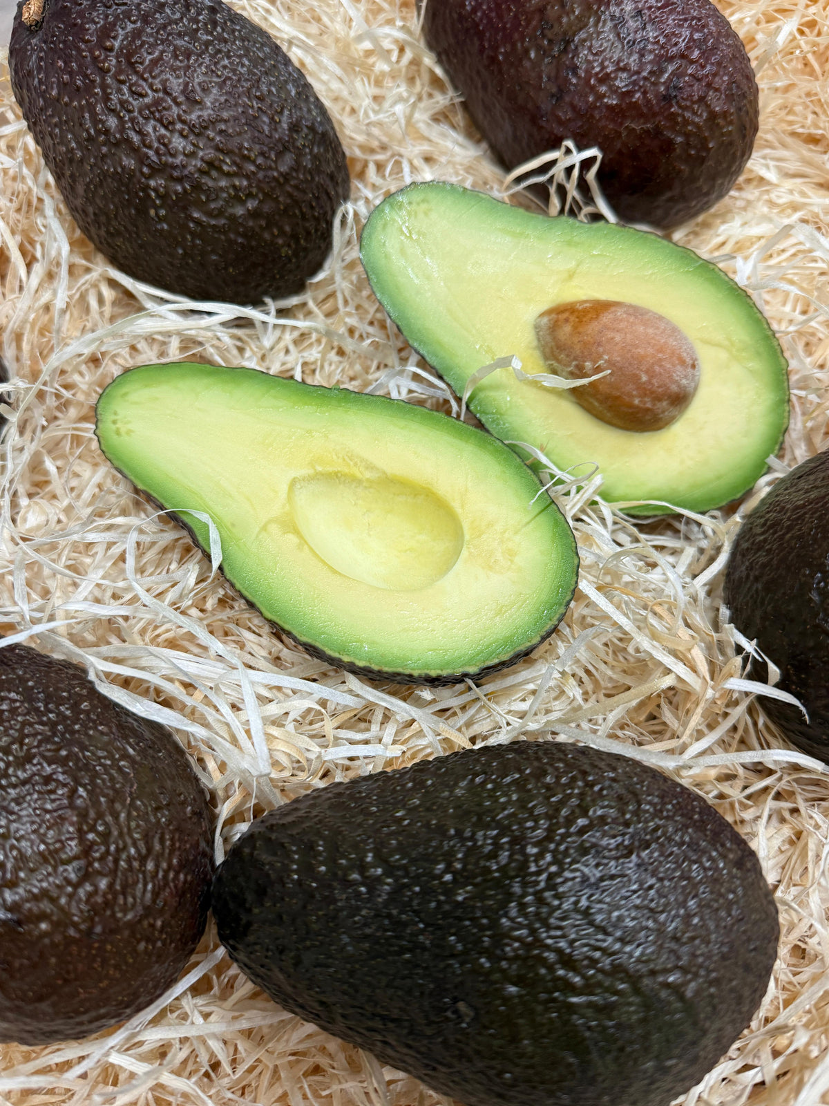 Avocado