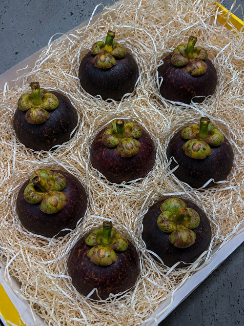 Mangostan